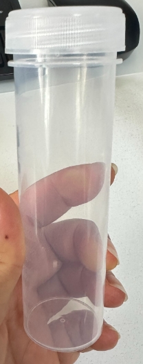 Tube PureTube 50 ml en polypropylène transparent avec bouchon à vis